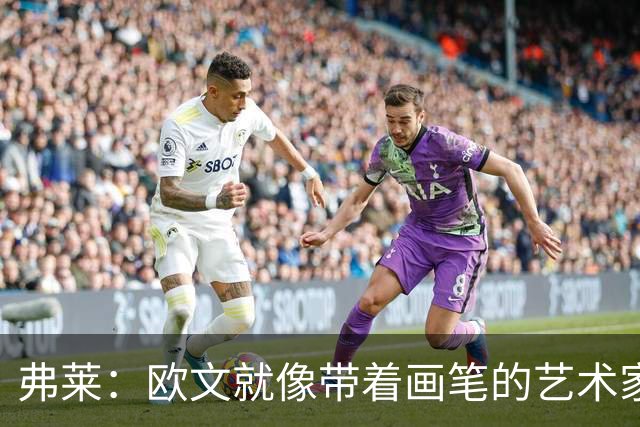 弗莱：欧文就像带着画笔的艺术家 他的进攻动作衔接就像画画一样